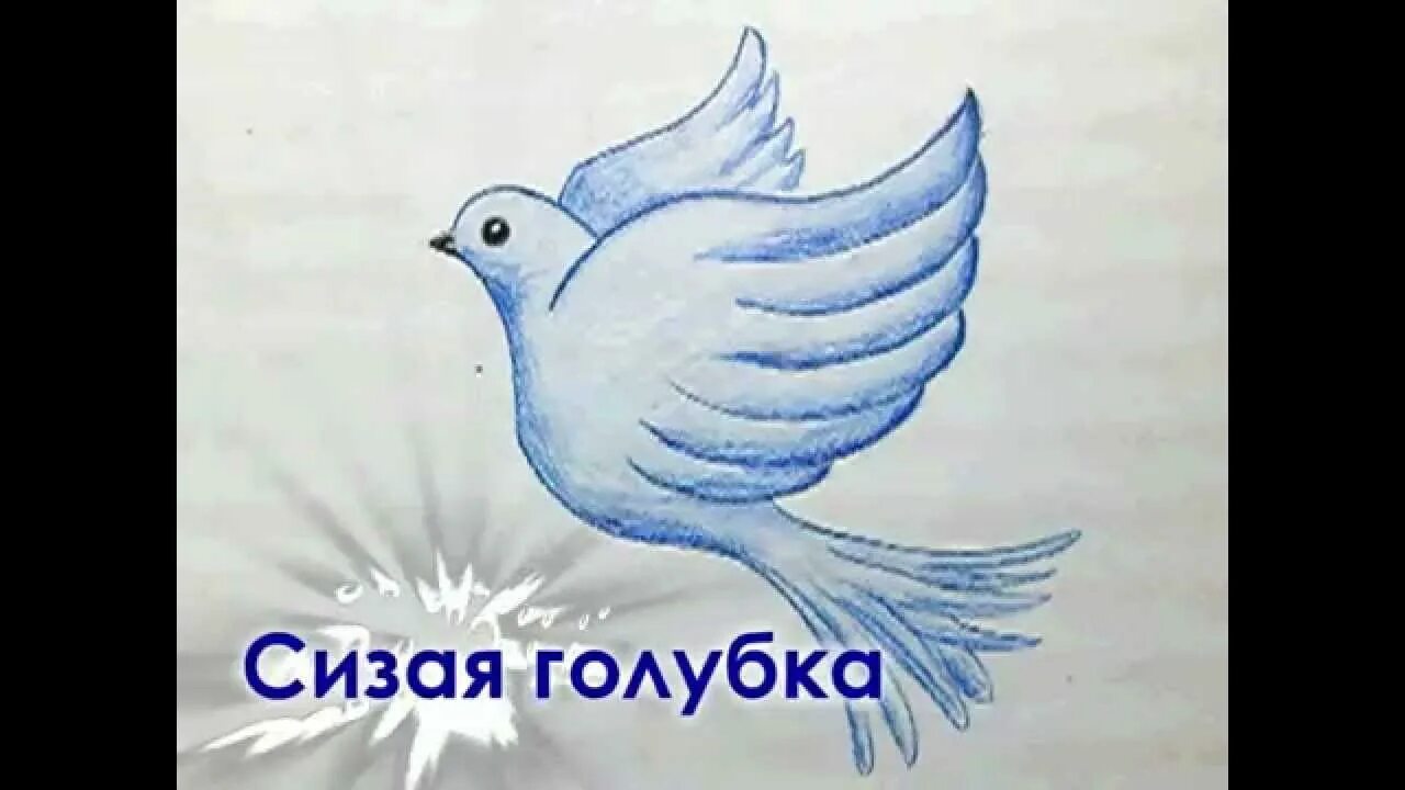 Голубы как рисовать