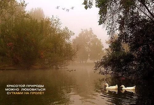 Природой можно восхищаться. Восхищение красотой природы своими словами. Здоровая женщина. Гармония природы. Весенние фотосессии на природе.