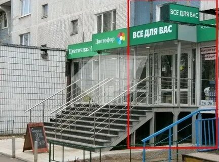 Плещеево 28 консультация