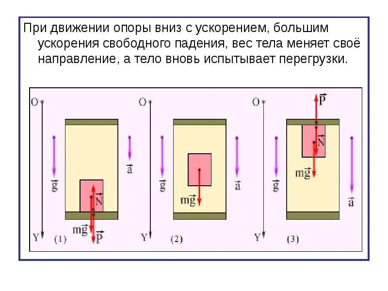 Вес тела при движении. Вес тела при движении с ускорением вниз. вес тела при движении вверх и вниз с ускорением. лифт движется вниз вес тела. вес тела при движении вверх с ускорением.