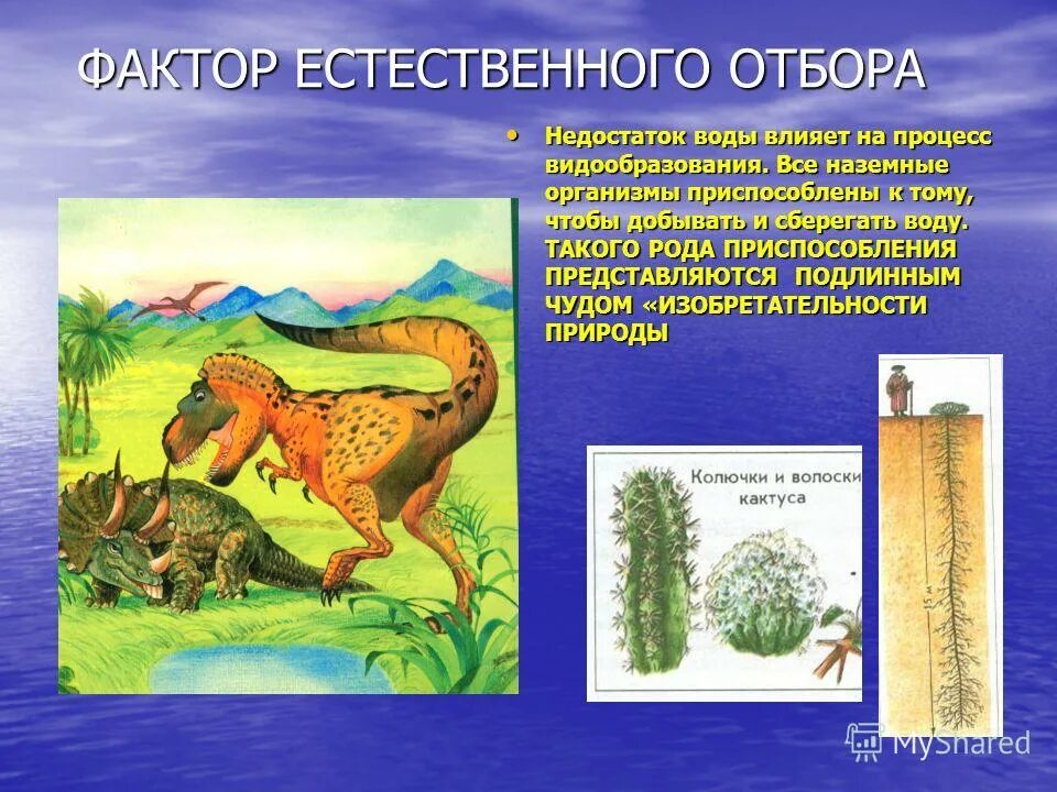 факторы естественного отбора. сравнить естественный и искусственный отбор таблица. назовите факторы естественного отбора. назовите факторы естественного отбора. диаграммы разных форм естественного отбора.
