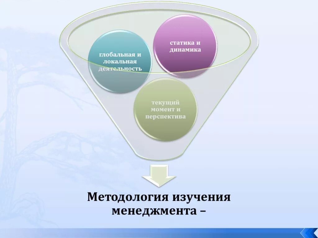 Глобальная перспектива. Перспективы менеджмента. Глобальные перспективы предмет. Твои глобальные перспективы.