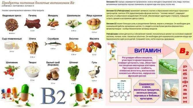 В каких продуктах есть витамин к 2 - найдено 77 картинок