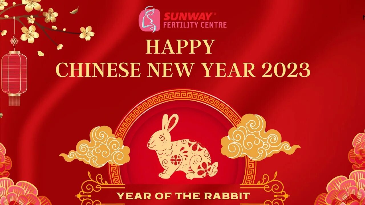 Happy Chinese New year. Chinese New year 2023. Happy Chinese New. Happy Chinese New year слоган. Я могу любить тебя китай 2023