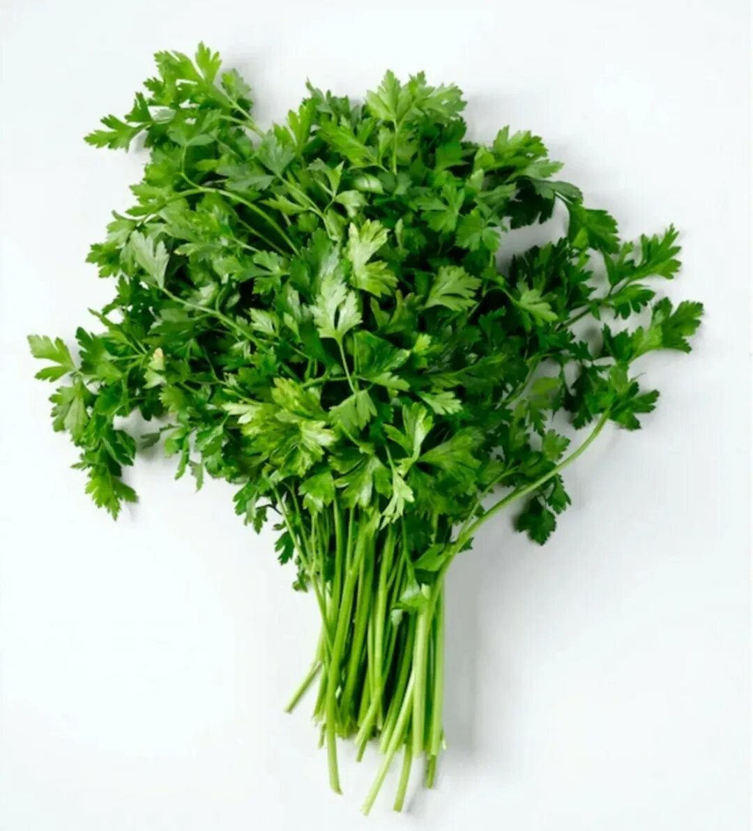 Зелень чей. Maydanoz. fresh parsley. parsley onuma. зелень на столе.