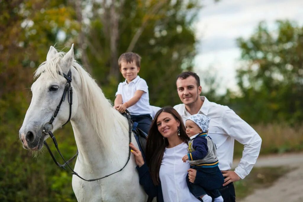 Horse family