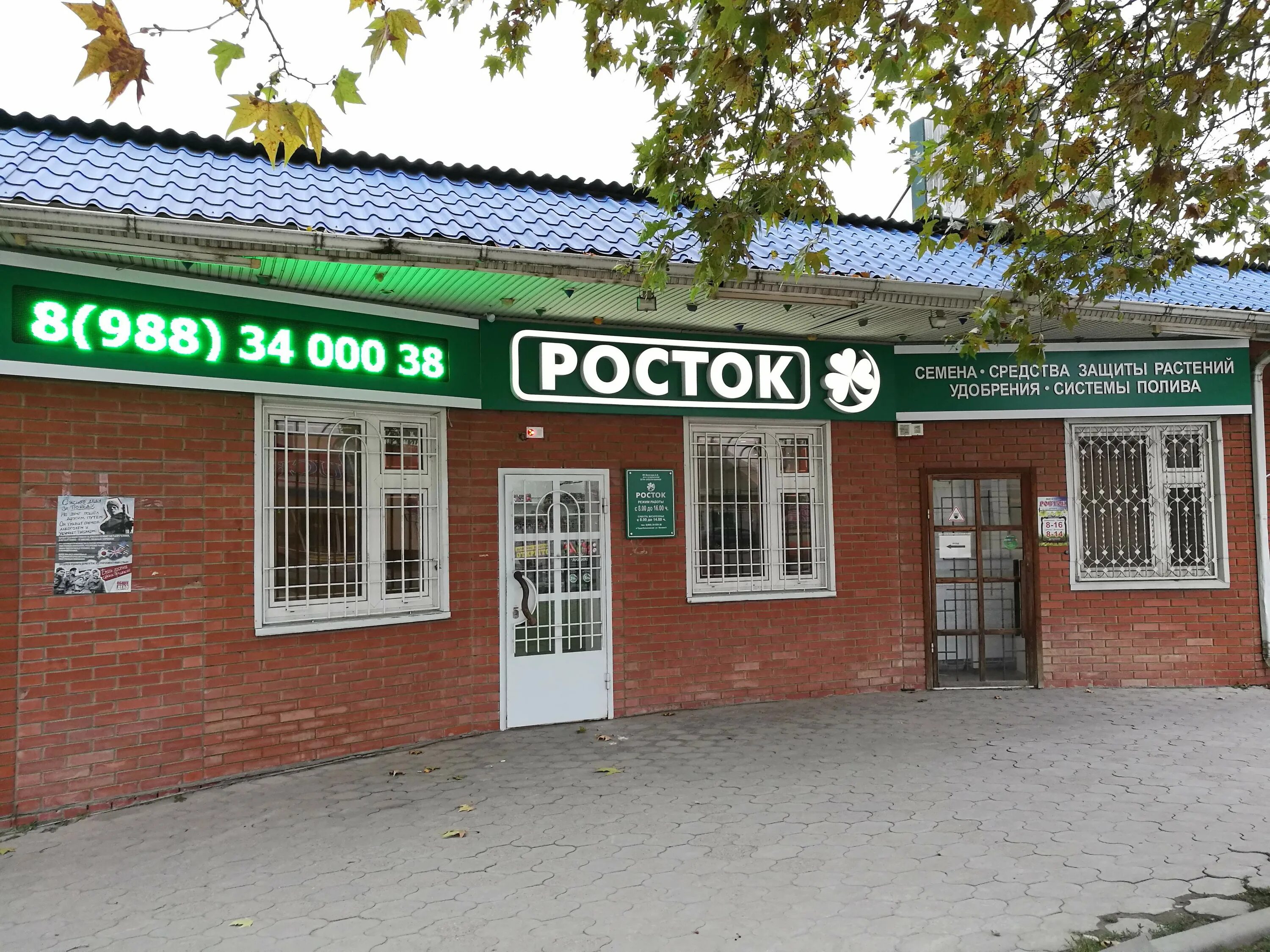 Семена белгород. Росток иваново магазин оружия. Интернет магазин росток. Реклама магазина семян. Ул.