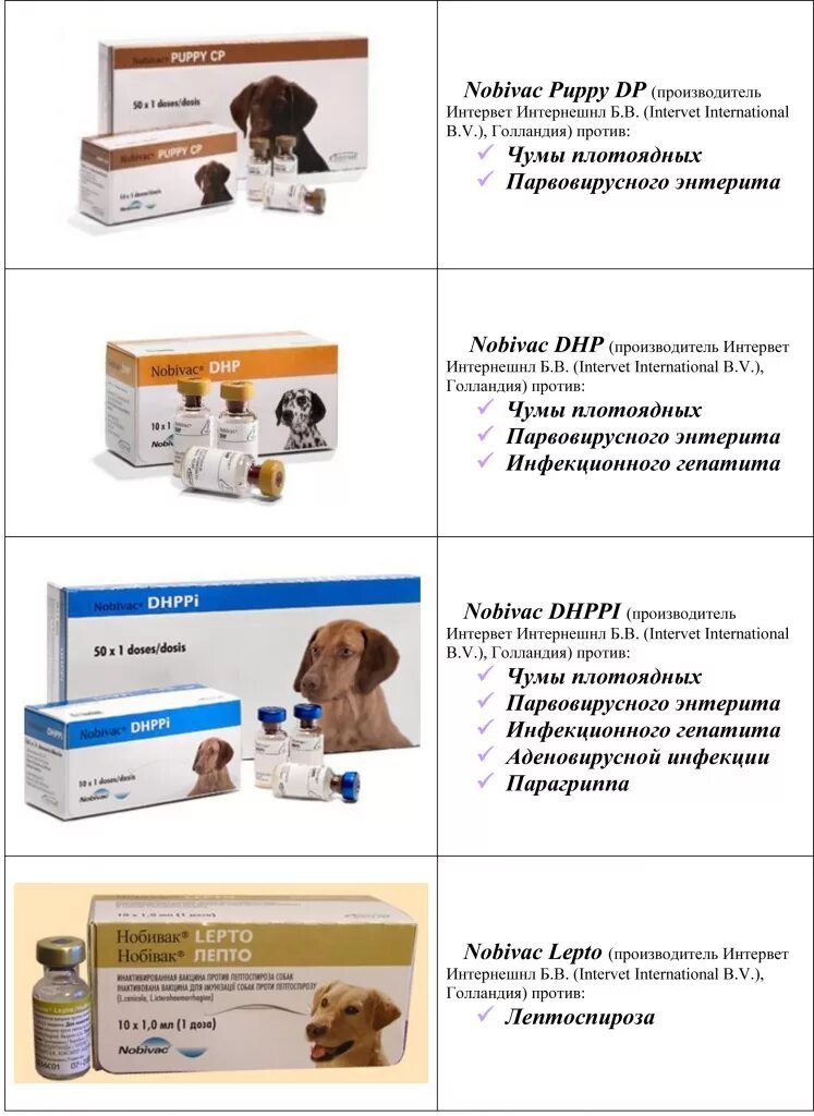 Прививки щенкам по возрасту таблица французский бульдог В каком возрасте прививки собакам