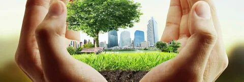 Environment this is