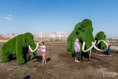 Открытие экопарка в мурино