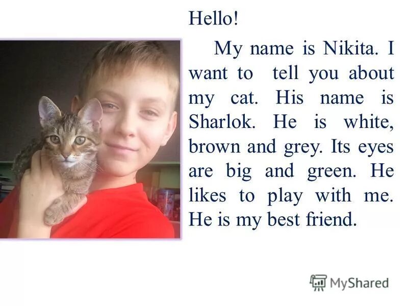 Кливленд браун гриффины. Стикеры для граффити hello my name is. Эминем my name is. Стикеры hello my name is. Стикеры для граффити hello my name is.