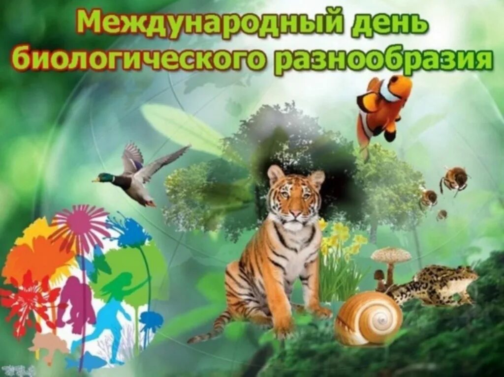 Международный день биоразнообразия. День биологического разнообразия. Биологическое разнообразие. Всемирный день биологического разнообразия.
