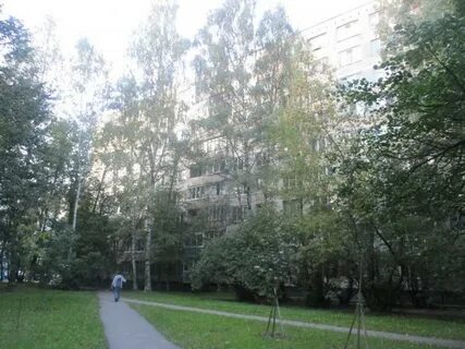 Ул вавиловых санкт петербург