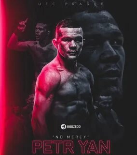 2019 yan