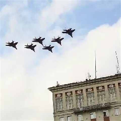 Стрижи в новокузнецке