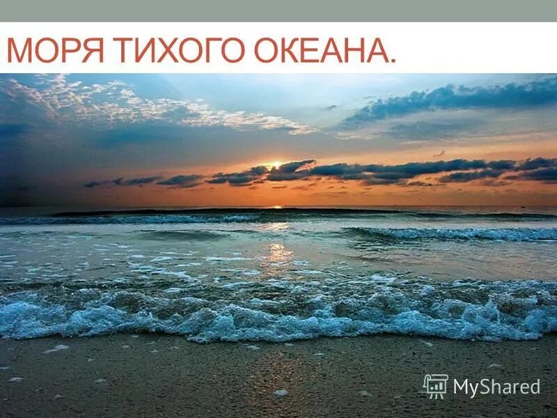 тихий океан география. тихий океан марианская впадина. тихий океан крупнейшее море. тихий океан крупнейшее море. моря относящиеся к тихому океану.