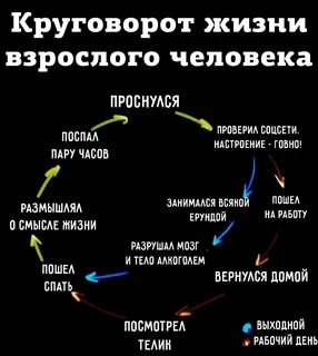 Круговорот унижение