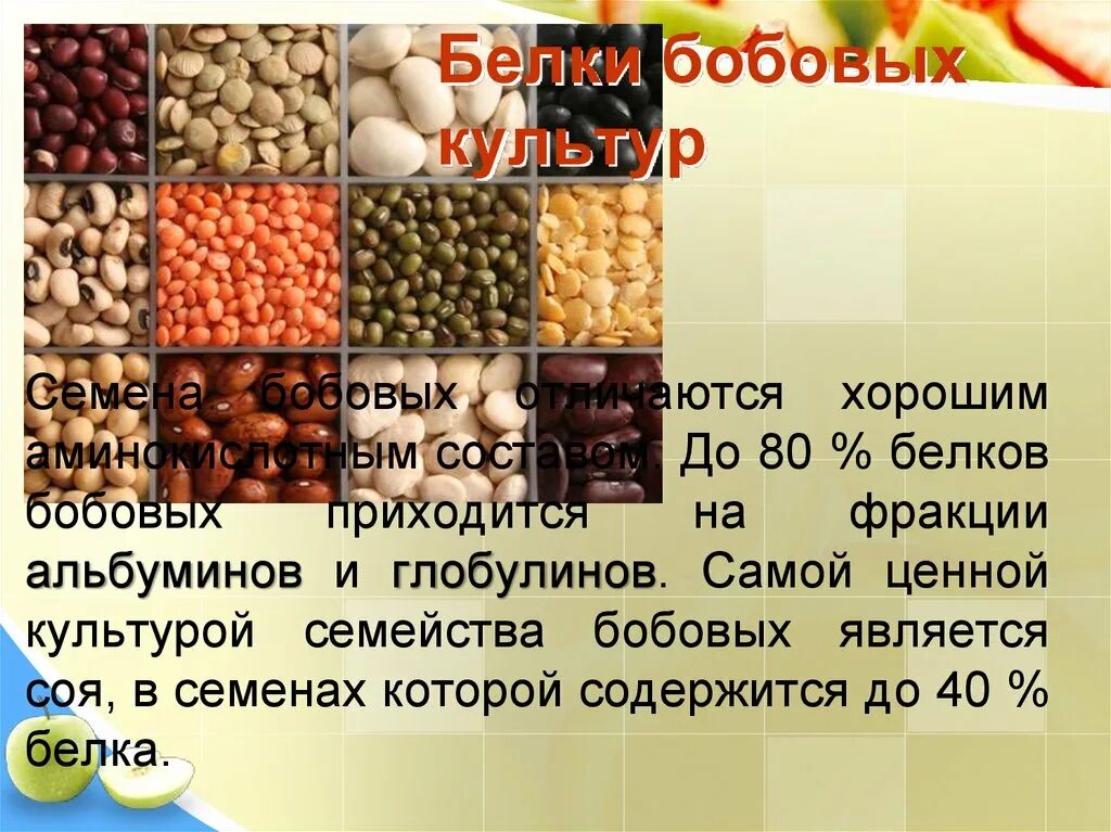 В орехах много белка. Бобовые культуры. Белок в бобовых. Кол-во белка в бобовых. Питательные вещества в бобовых.