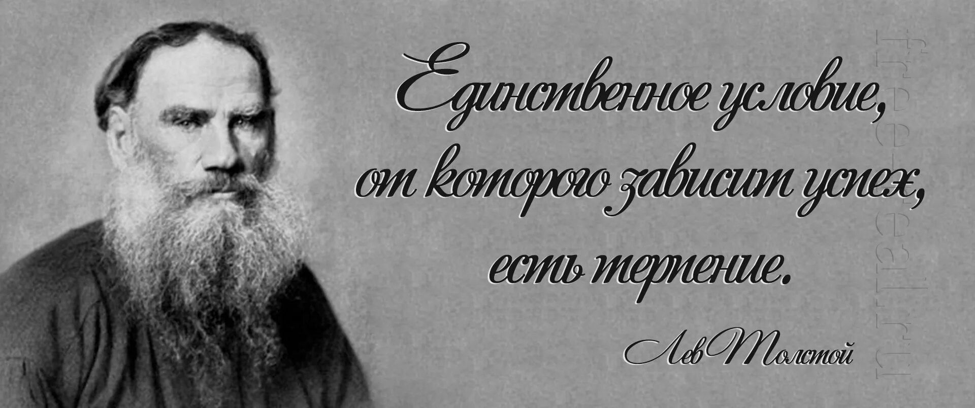 Лев толстой о любви. Лев толстой. Лев Николаевич толстой цитаты. Мудрые слова Льва Толстого. Цитаты Льва Толстого.