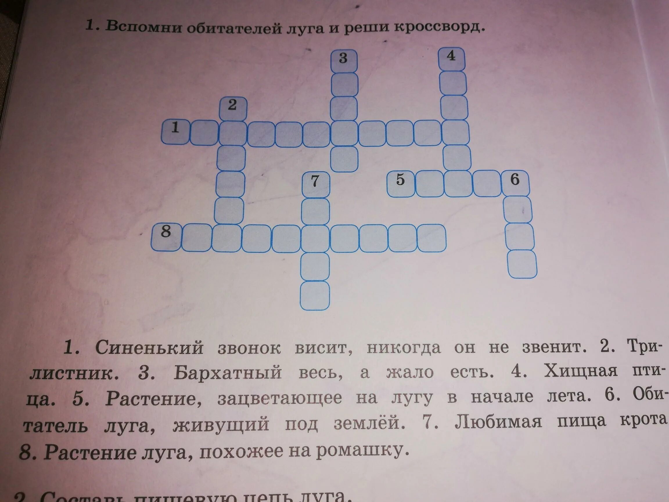 Стрижонок скрип кроссворд 4 класс ответы. Как решать кроссворды. Кроссворд по теме познание.