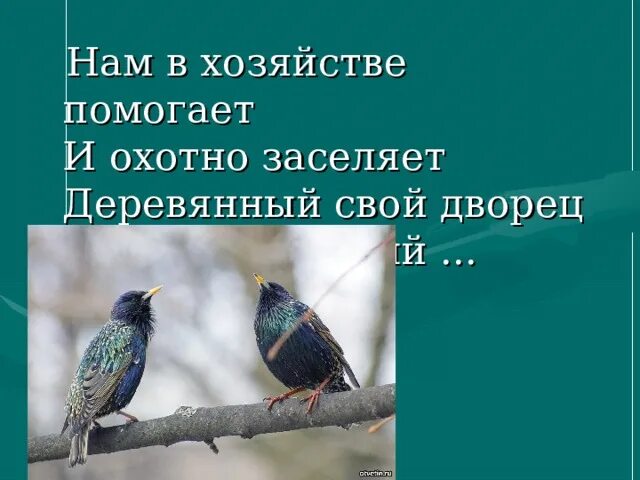 Презентация праздник птиц 1 класс школа россии. Праздник птиц изо 1 класс. Праздник птиц изо 1 кл презентация. Праздник птиц изо 1 класс конспект урока. Праздник птиц изо 1 класс презентация школа России.