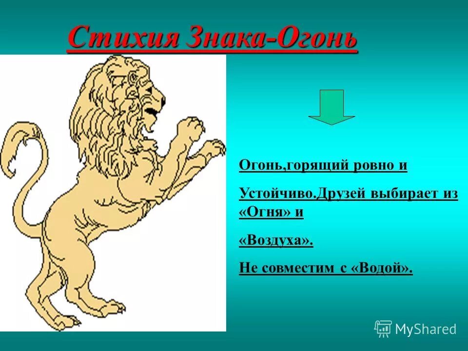 огонь лев овен стрелец. огненный зверь. стихия огня овен лев стрелец. знаки зодиака огненной стихии. лев огненный знак зодиака.