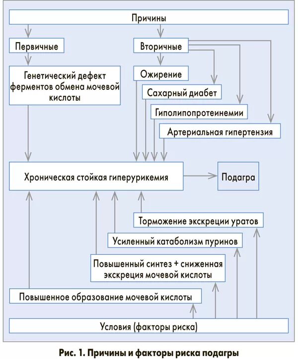 Подагра схема. Факторы риска подагры. первичная и вторичная подагра. факторы риска развития гиперурикемии и подагры. первичная и вторичная профилактика подагры.