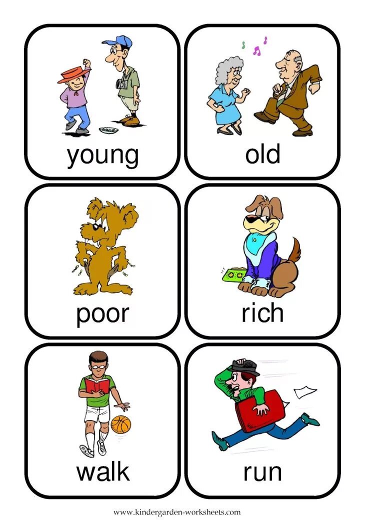 Flashcards word
