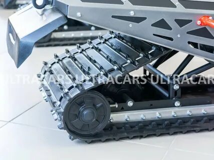 Ирбис 2023