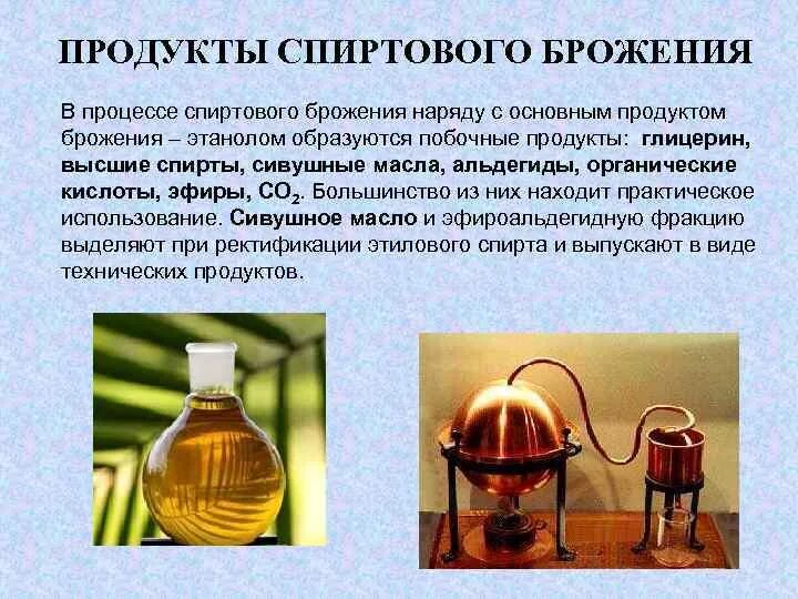 Схема спиртового брожения глюкозы. Спиртовое брожение глюкозы реакция. Суммарное уравнение спиртового брожения глюкозы. Продукты процесса спиртового брожения. Спиртовое брожение пвк реакция.