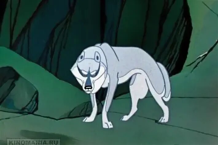Последняя охота акелы мультфильм 1969. Маугли мультфильм 1973 акела. Волк акелла маугли. Акело. Волк акелла маугли.