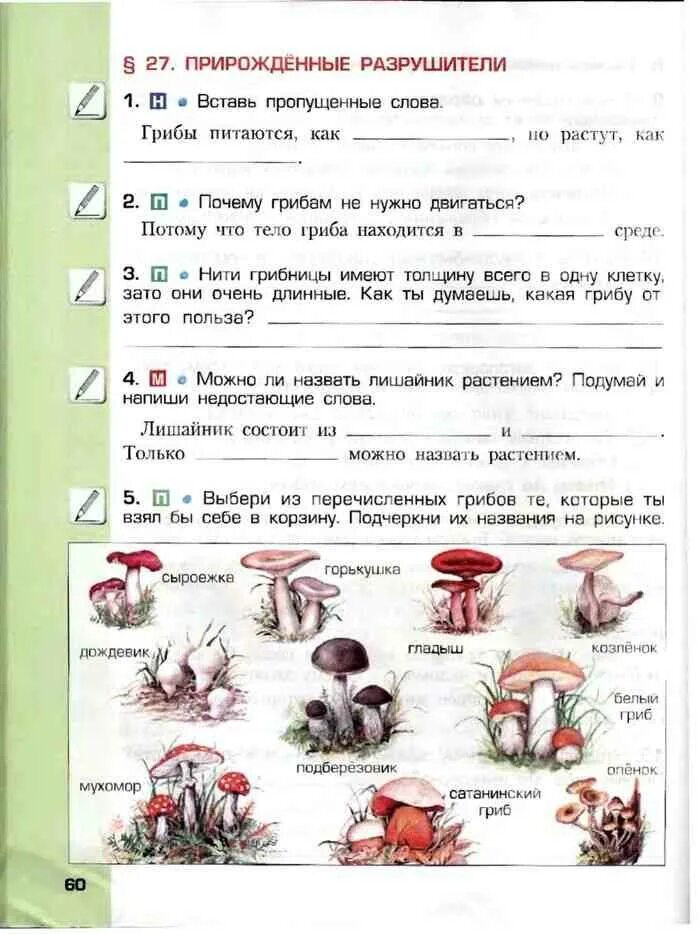 Окружающий тетрадь 3 класс