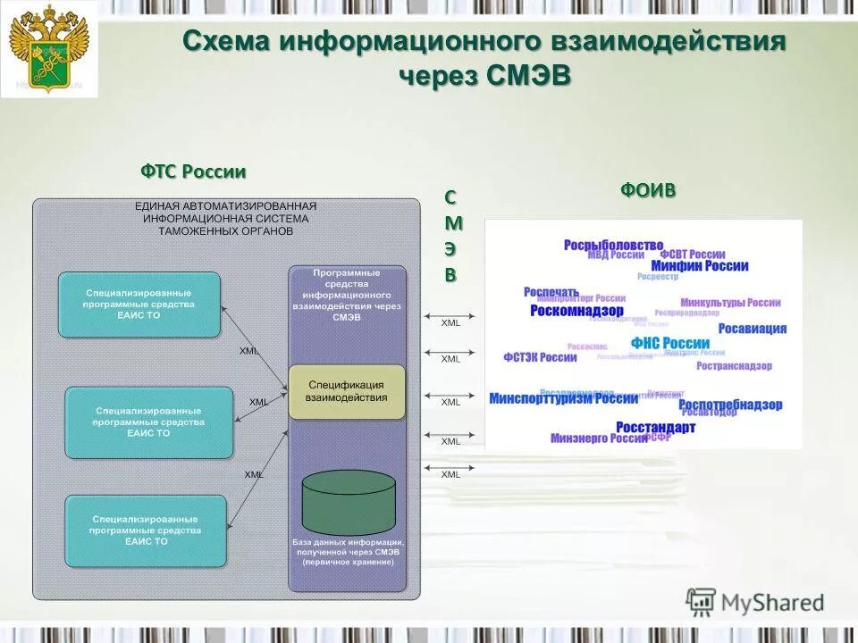 Органы государственной власти. Информационное взаимодействие федеральных органов исполнительной власти. Федеральные региональные и местные органы. Информационное взаимодействие федеральных органов исполнительной власти. Структура службы росздравнадзора.