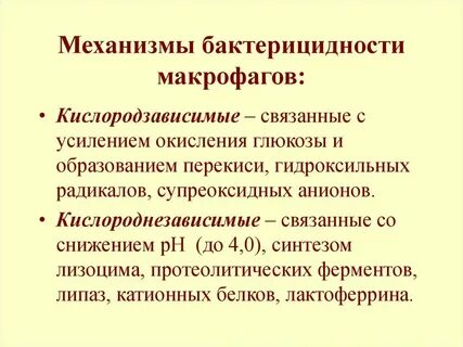 Оказывает бактерицидный эффект