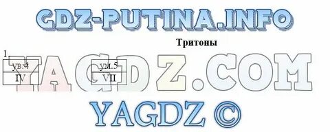 Проект по обществознанию 8