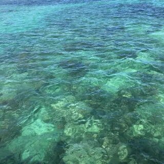 Водное е