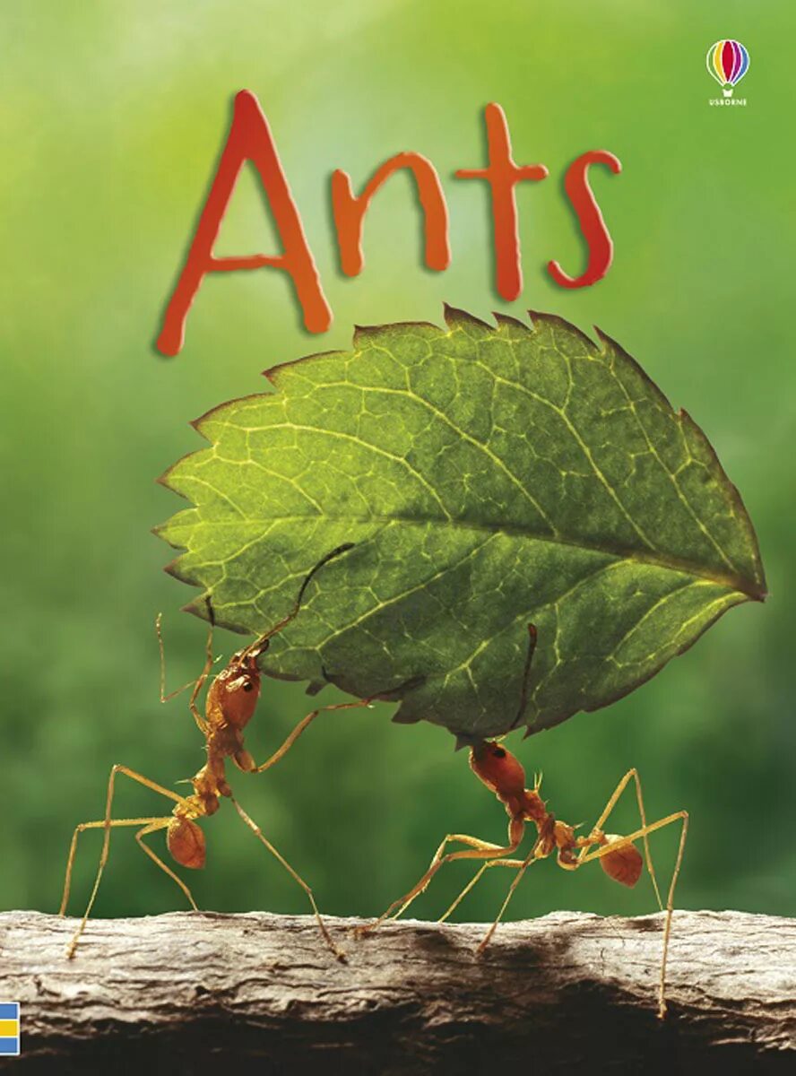 Читать серые муравьи. Ants обложка альбома. Where the Ants Live. Usborne Beginners nature. Beginner book.