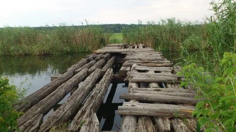 Из какого дерева была построена заводская