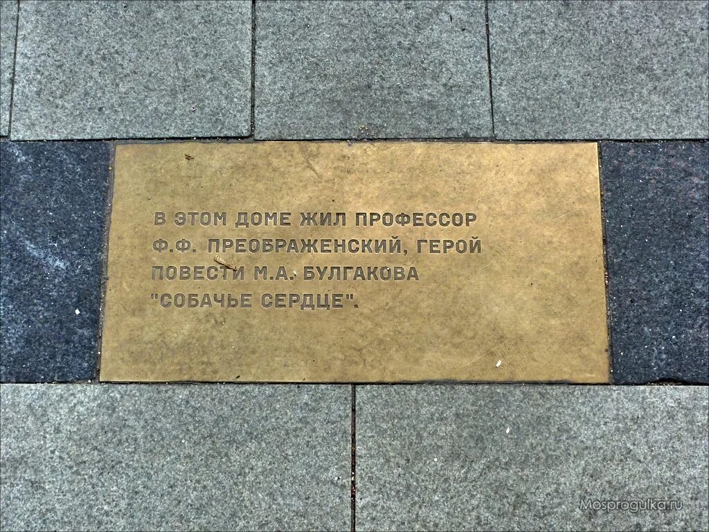 табличка в этом доме жил. правила дома табличка. мемориальная доска питер. сёмин виталий николаевич. мемориальная доска в этом доме жил.