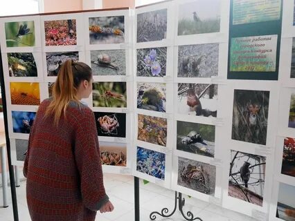 Конкурс фотографий 2024 природа