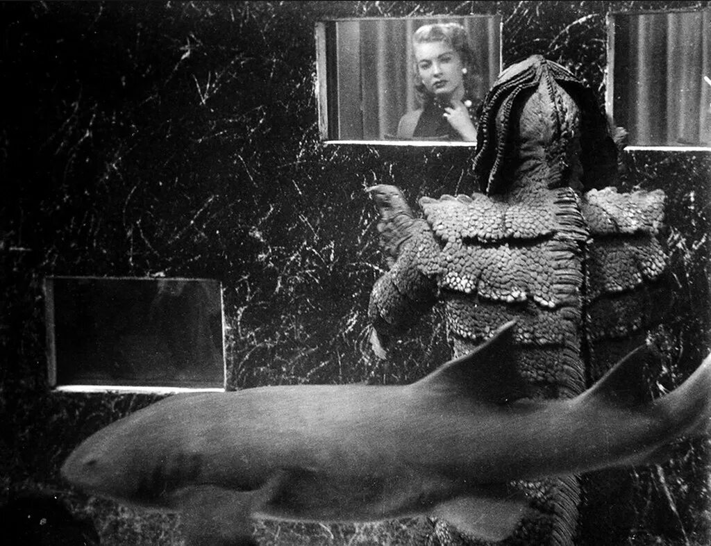 Месть твари клинт иствуд. Месть твари. Месть твари фильм 1955 клинт иствуд. Месть фильм 1959. Тварь из черной лагуны 2 [месть твари] (1955).