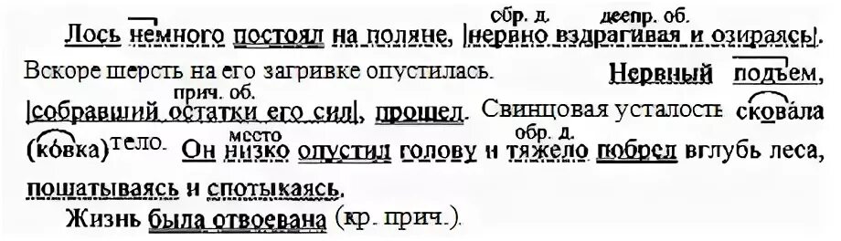 Русский язык 8 класс упражнение 263