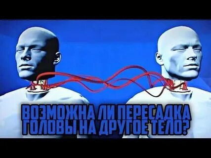 Трансплантация мозга человека