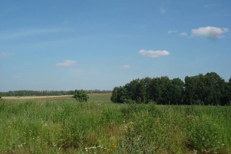 Участки в деревне в пушкинском районе. Участки в деревне в пушкинском районе. Деревня пушкино воскресенский район. Пляж ельдигино пушкино. Пушкино лайф коттеджный поселок.