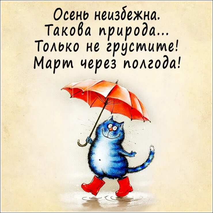Доброе настроение цитаты. Осенние позитивные высказывания. позитивные открытки. оптимистичные открытки. осеннее настроение цитаты прикольные.