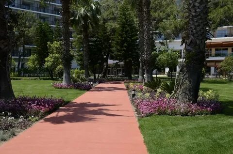 Tui rixos