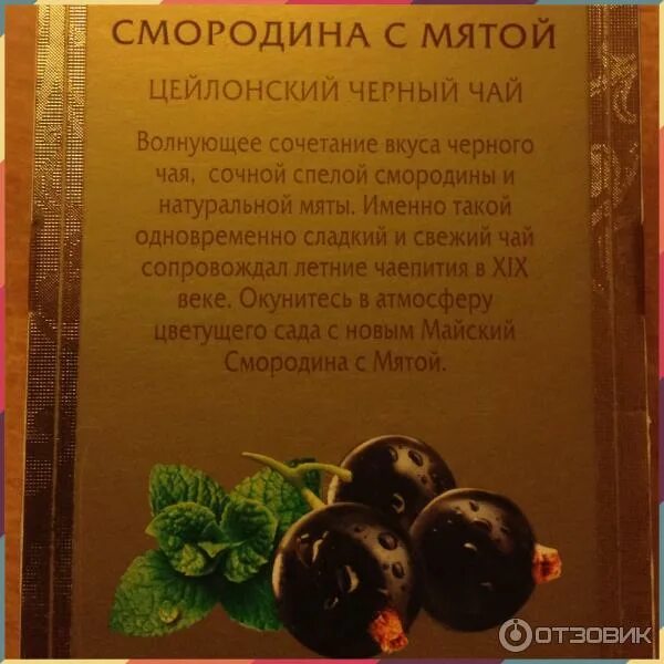 Чем полезен смородиновый чай. Со вкусом смородины. чай смородина мята.