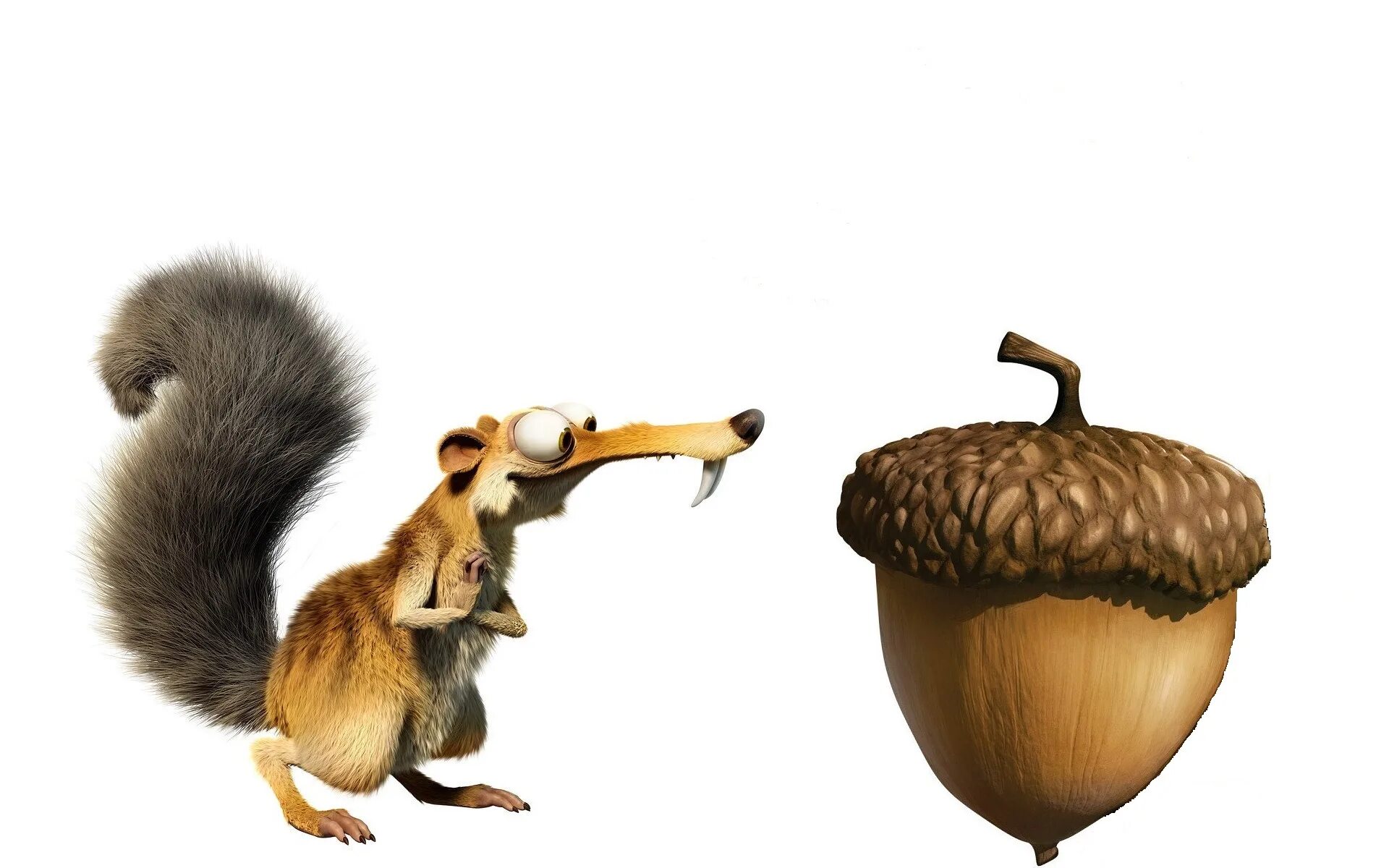 орех из ледникового периода. орех из ледникового периода. желудь ледниковый период. ледниковый период 3 эра динозавров. ледниковый период белка и орех.