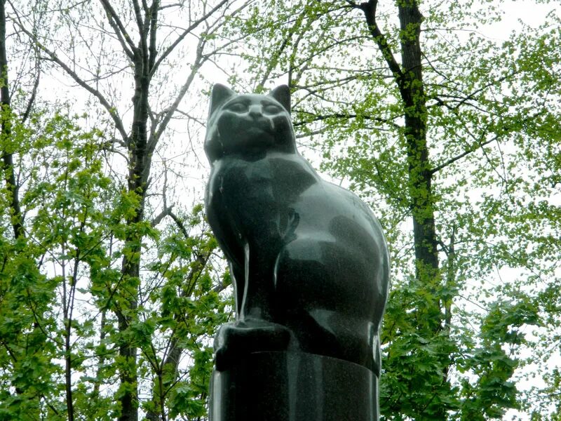 Кошки в парадизе тула