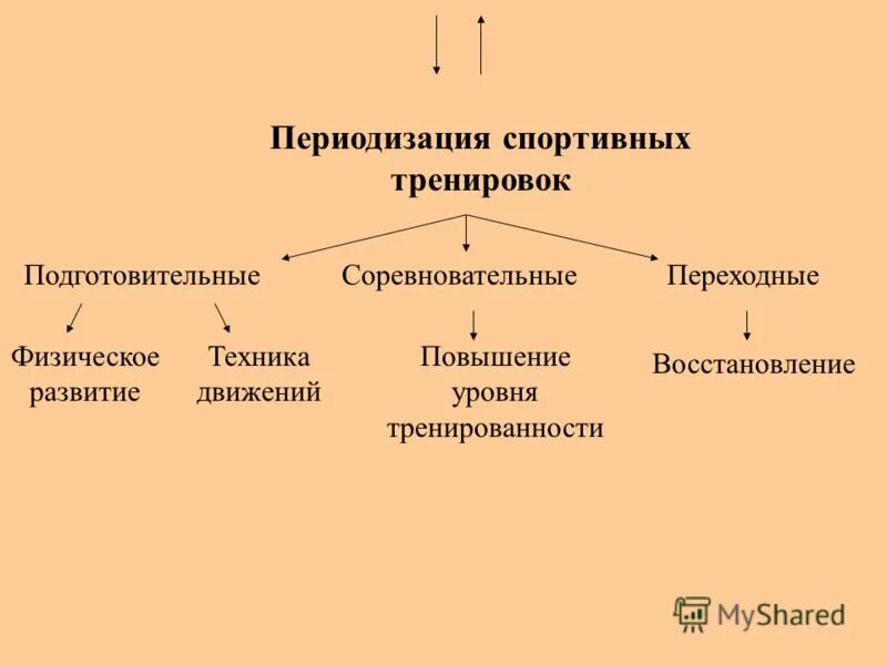 Периодизация тренировочного процесса. Периодизация спорт подготовки. Периоды спортивной тренировки. Принцип циклирования нагрузок периодизация тренировок.